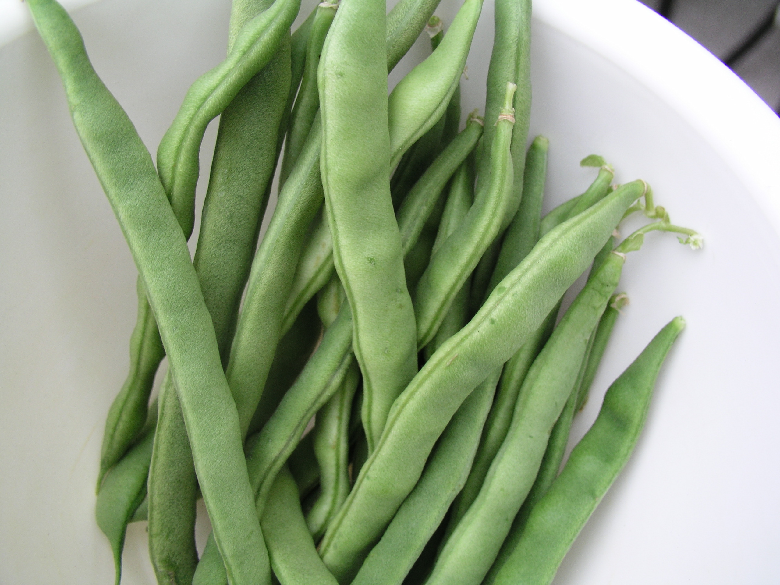 kentucky-wonder-pole-beans-growin-crazy-acres