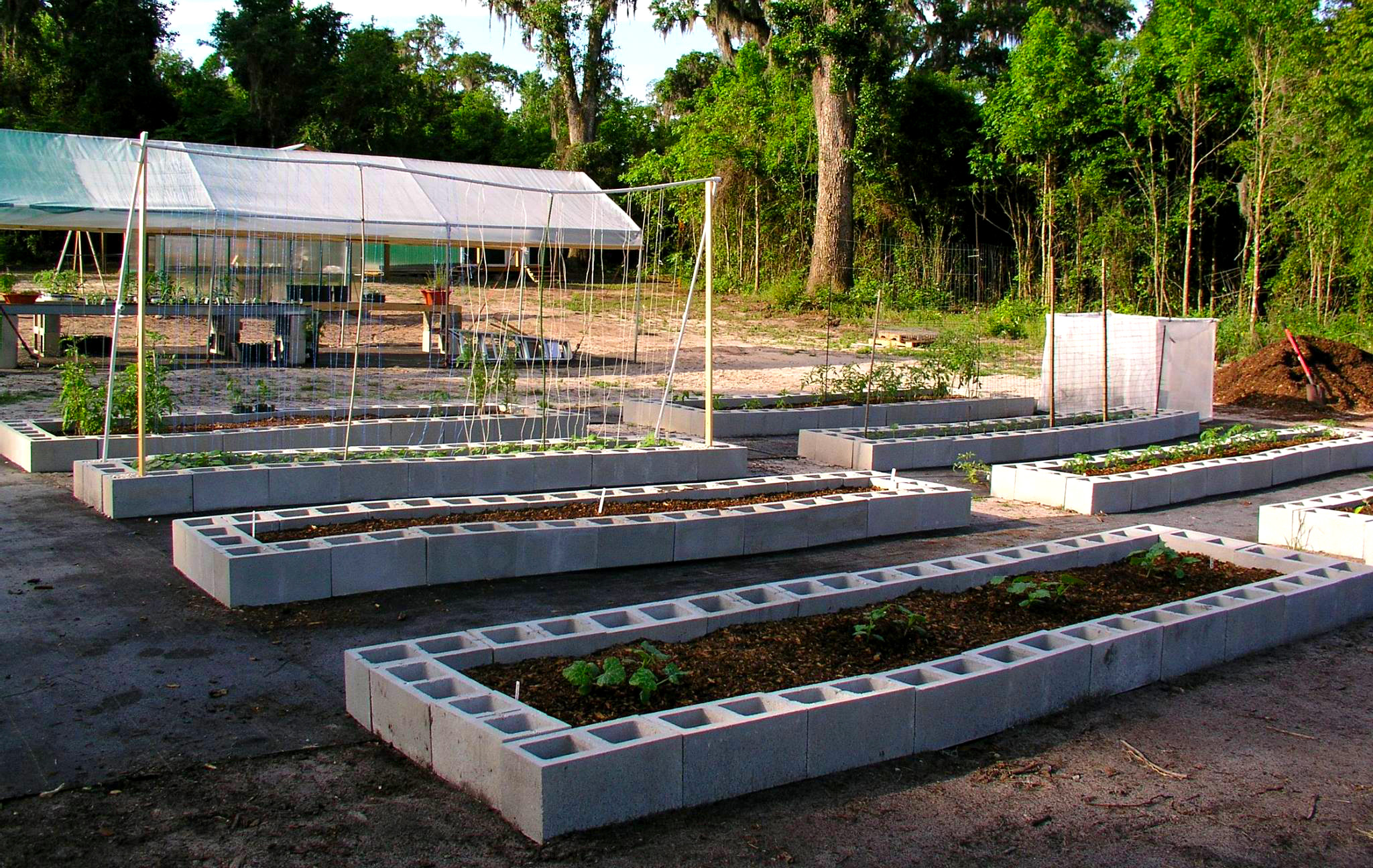 Growin Crazy Acres Raised Block Beds Growin Crazy Acres