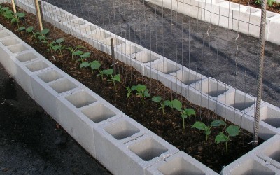 Raised Bed Vegetable Gardening in Southern Climates