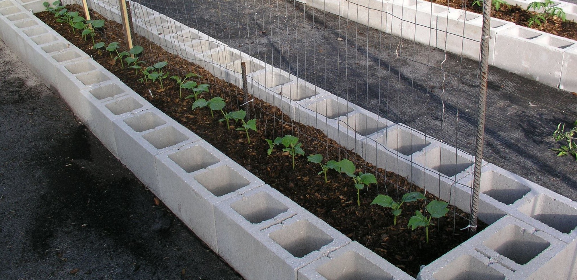 Raised Beds Garden Plot - Growin Crazy Acres