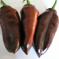 Sweet Chocolate Peppers