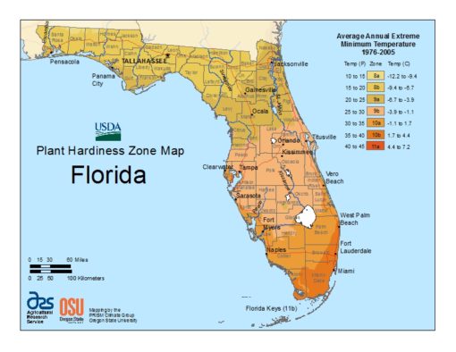 Florida Zone Map Growin Crazy Acres