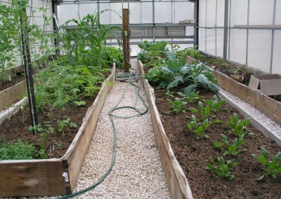 Raised bed in green house