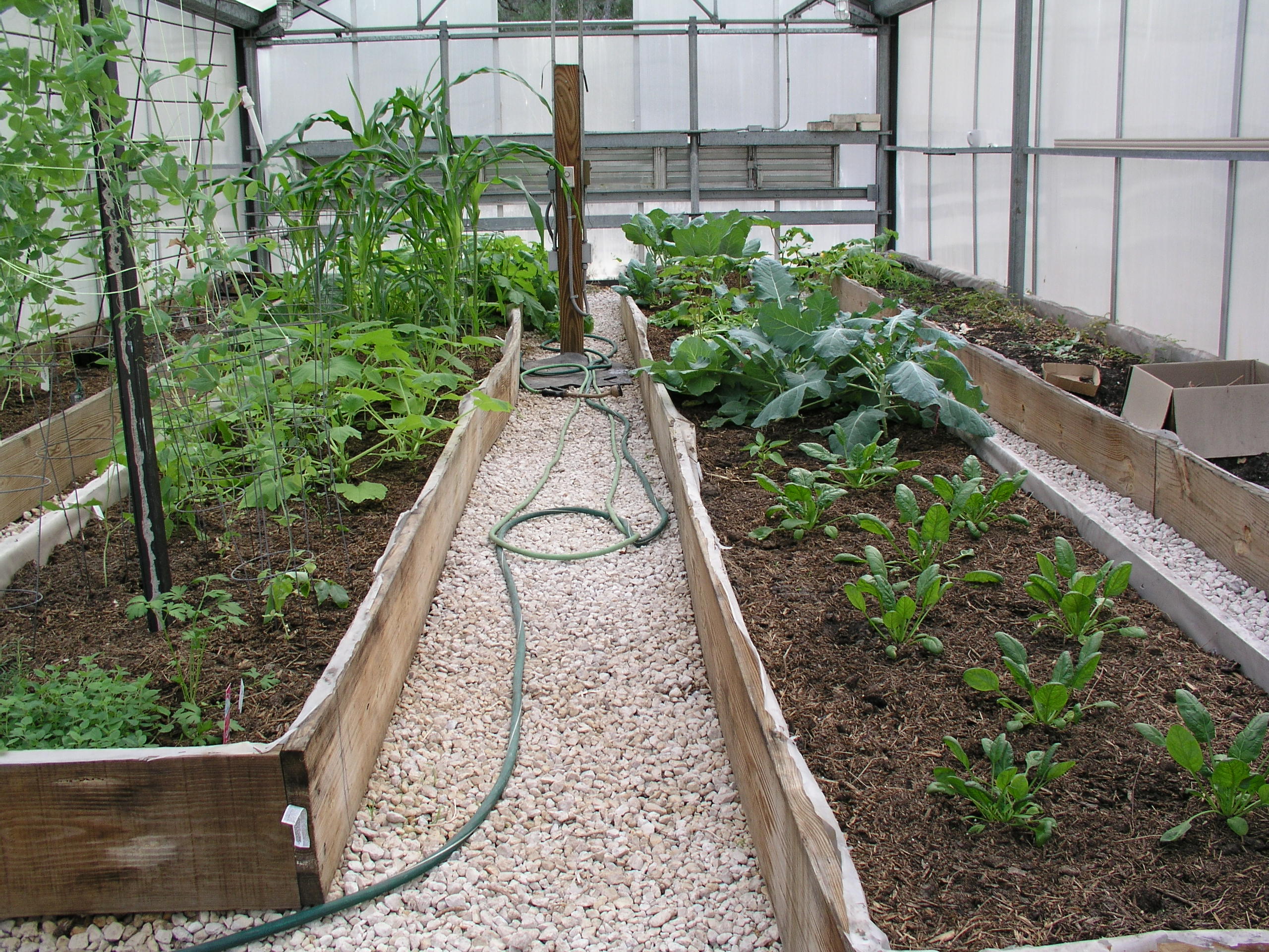 Florida Raised Beds Gardens - Growin' Crazy Acres