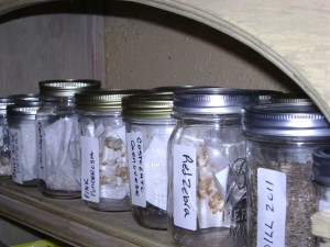 Seeds in jars for storage