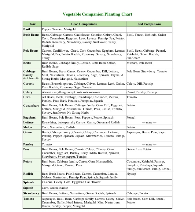 Compatible Vegetable Gardening Chart