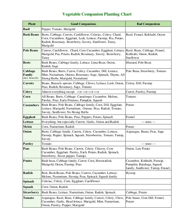 Vegetable Garden Plant Pairings Chart