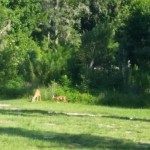20140810 095259