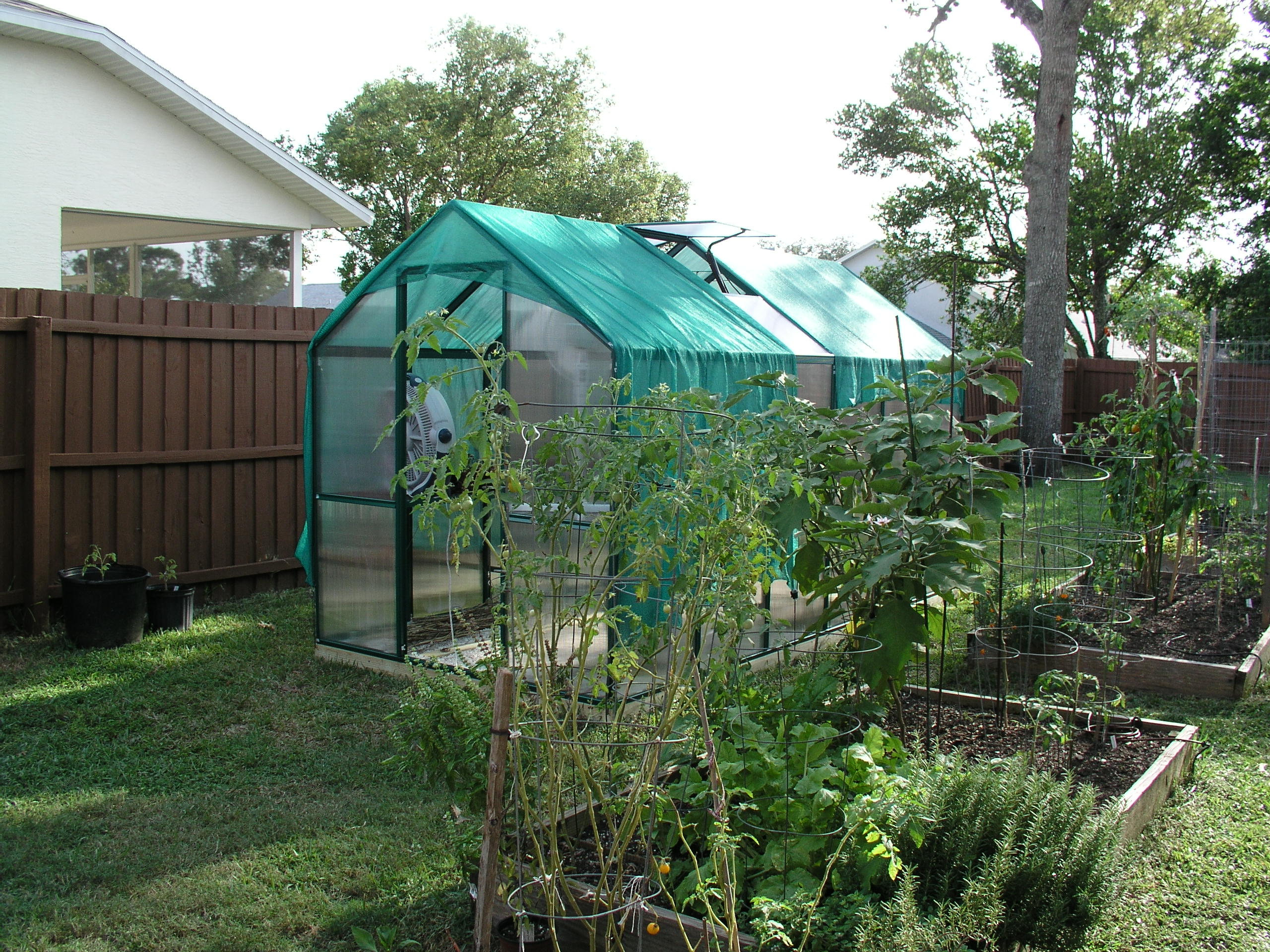 florida backyard vegetable gardener - growin' crazy acres