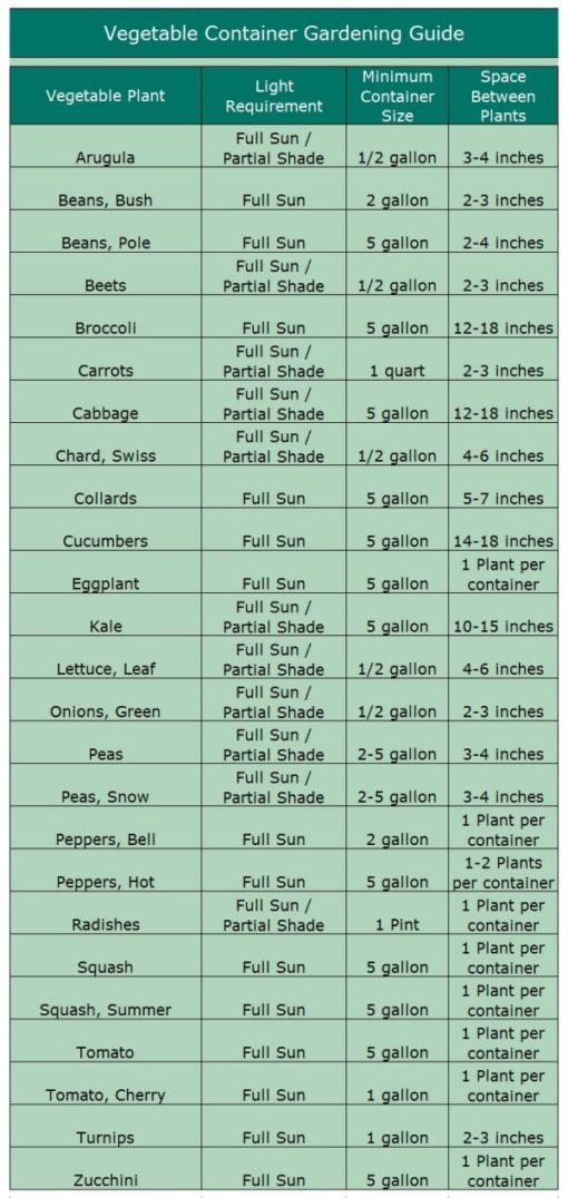 Vegetable Container Garden Guide - Growin Crazy Acres