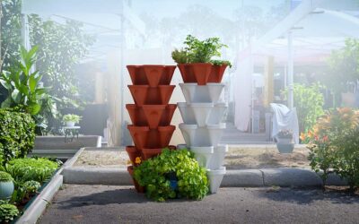 Vegetable Container Garden Guide
