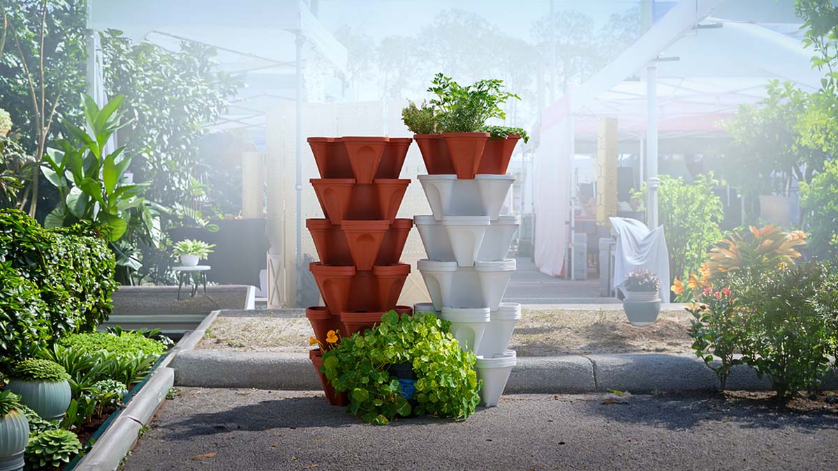 vegetable container garden guide