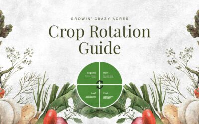 Crop Rotation Guide