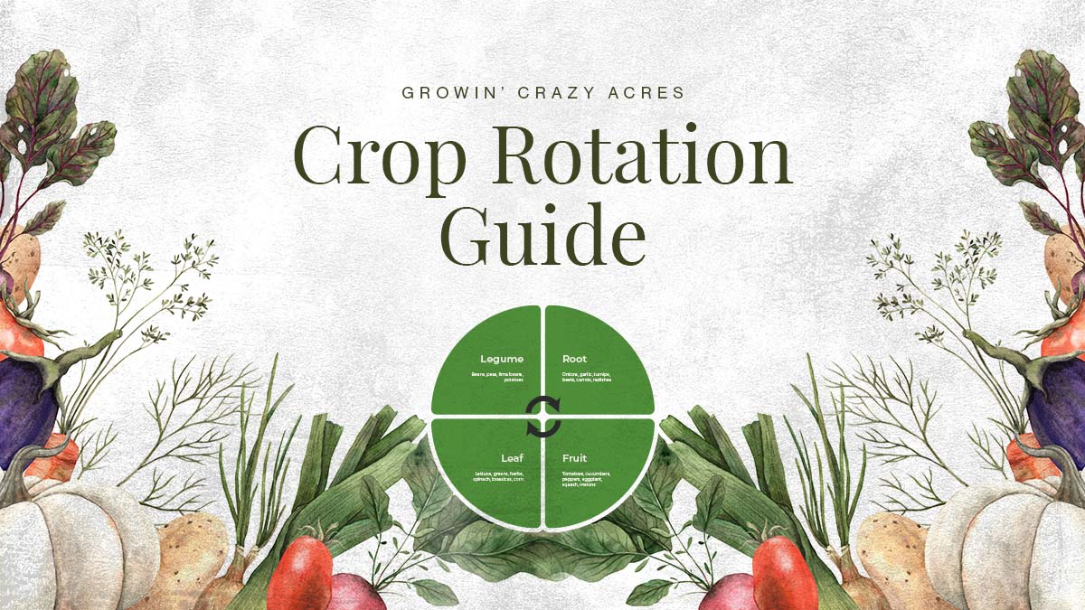 Crop Rotation Guide