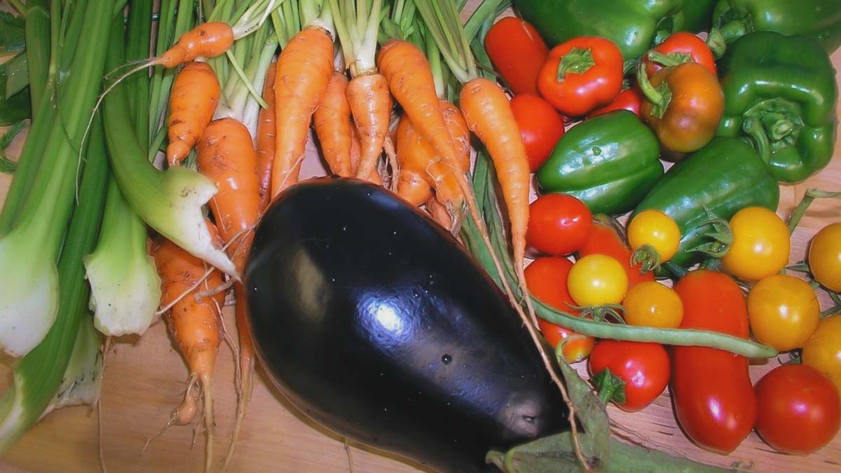 Grow your own food.