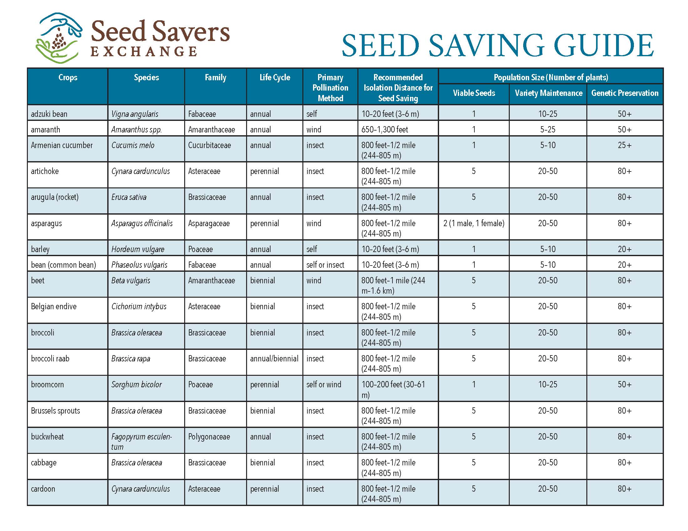 Growing Guide: Radish - SeedSavers