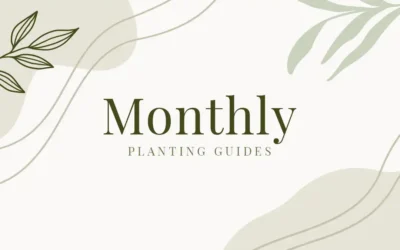 Monthly Planting Guides