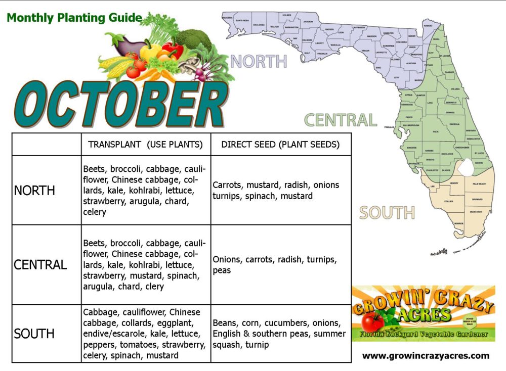 Monthly Planting Guides Growin Crazy Acres