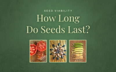 Seed Viability
