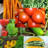 Heirloom Spring Garden Package