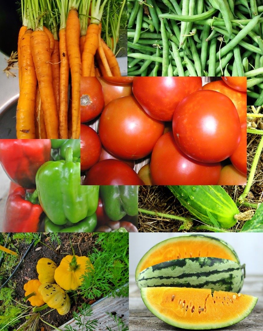 Heirloom Spring Garden Package