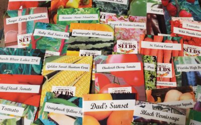 How to Read a Seed Packet for Better Garden Success