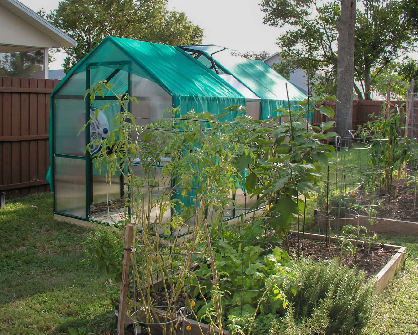 Greenhouse Plant Port