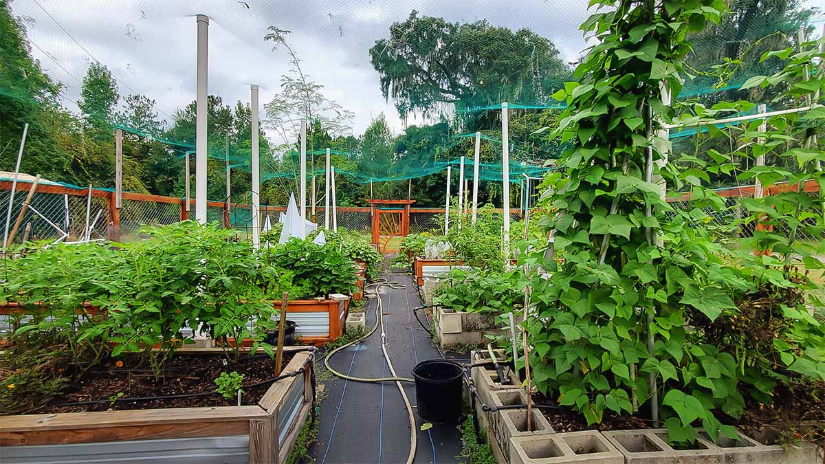 Southern Garden Planting Guide