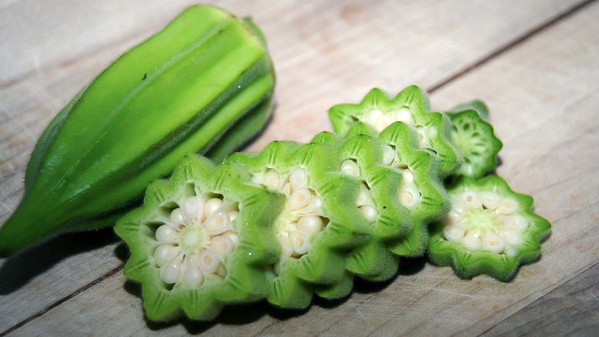 Star of David okra pod from a summer garden