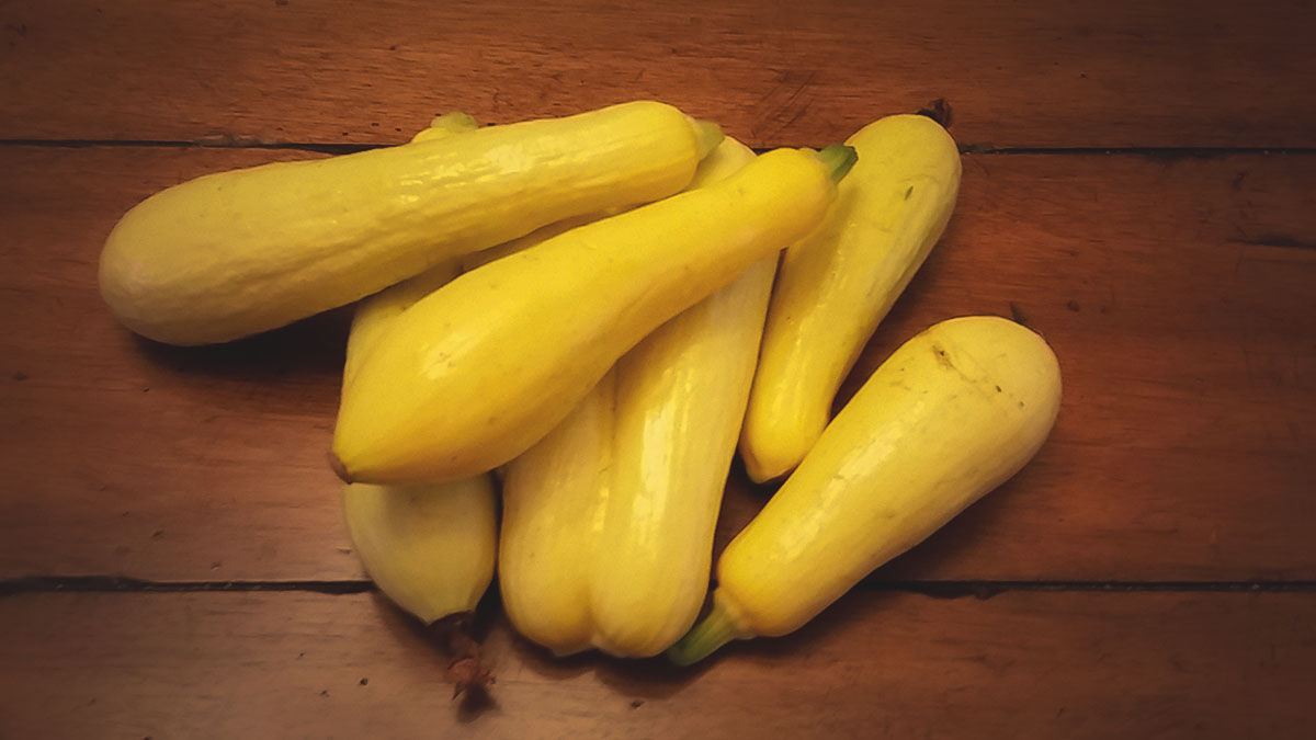 freshly harvested squash