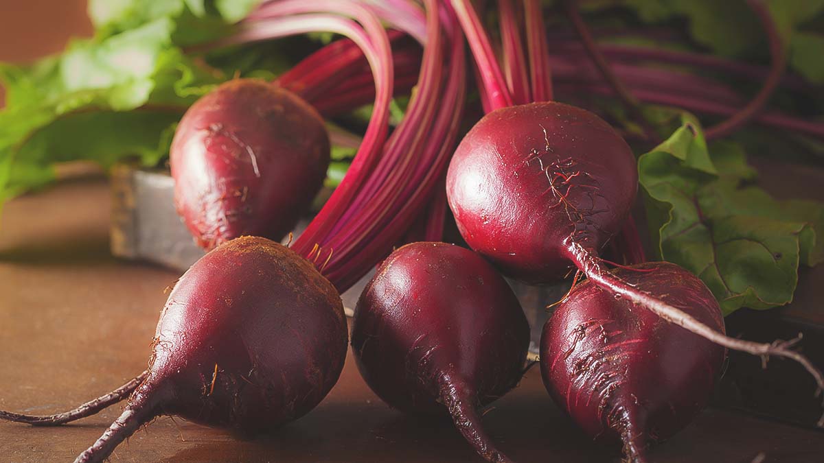 freshly harvested beets