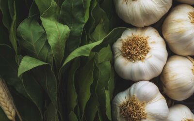 How to Grow Garlic in Southern Gardens: A Complete Growing Guide