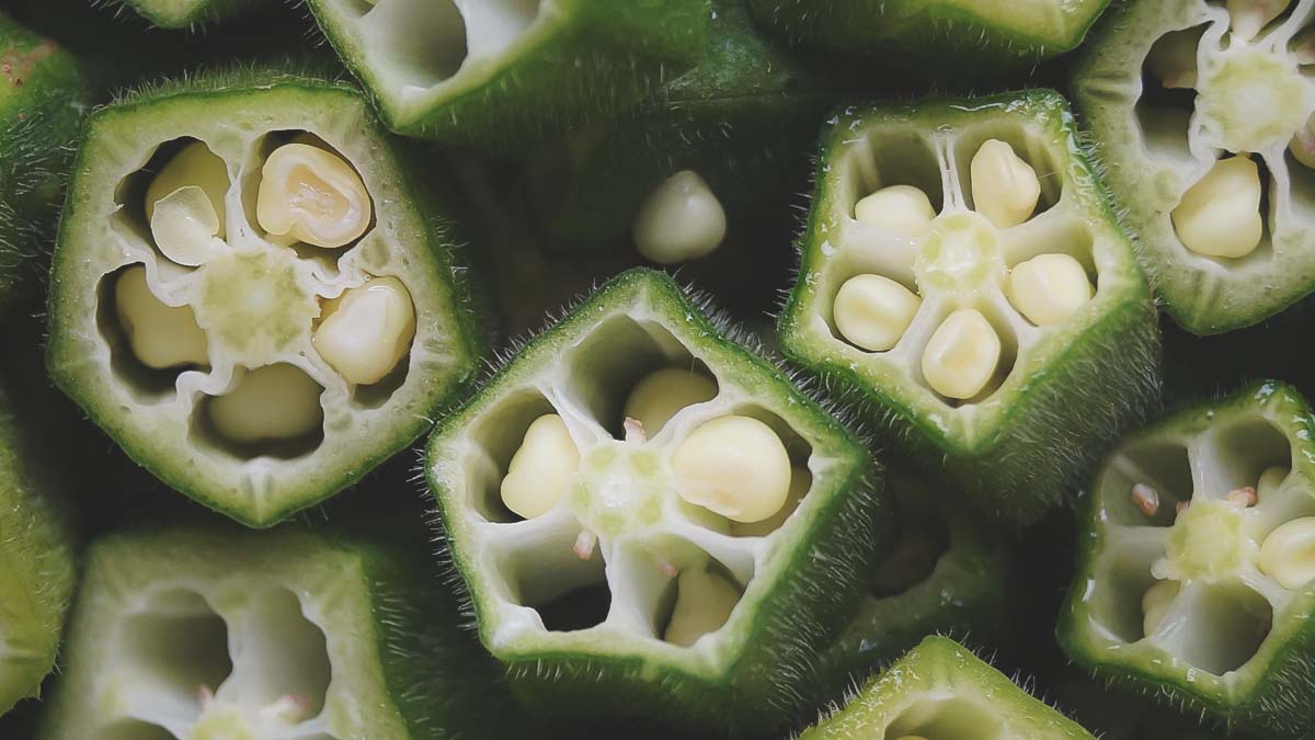 freshly harvested okra from home garden