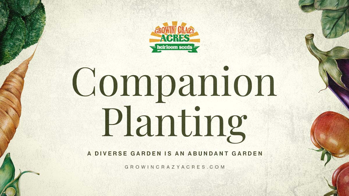 Companion Planting