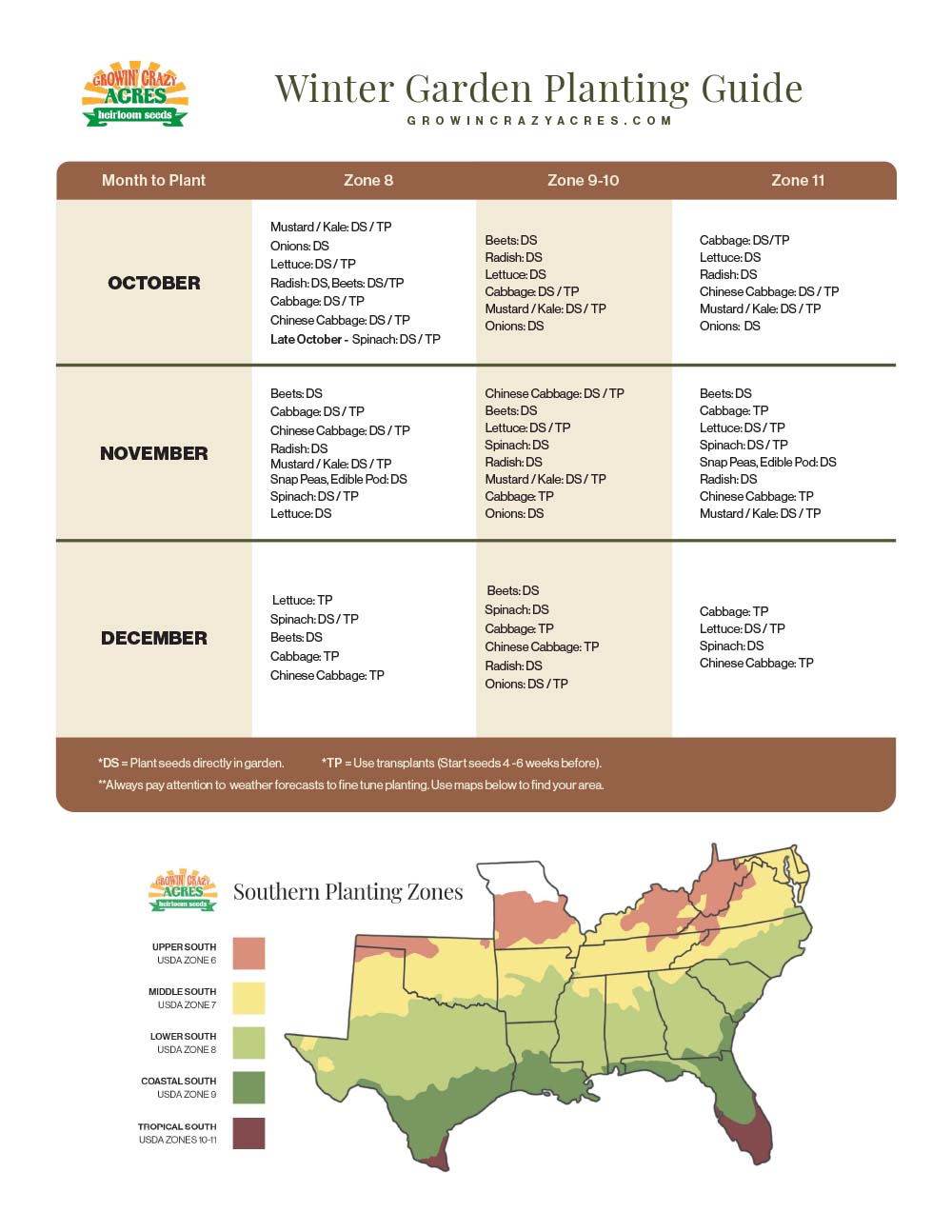 Florida Winter Garden Planting Guide