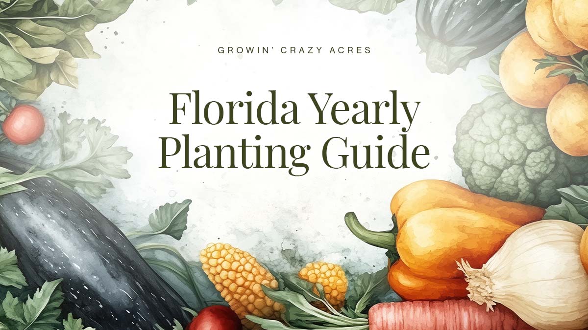 Florida Yearly Vegetable Planting Guide