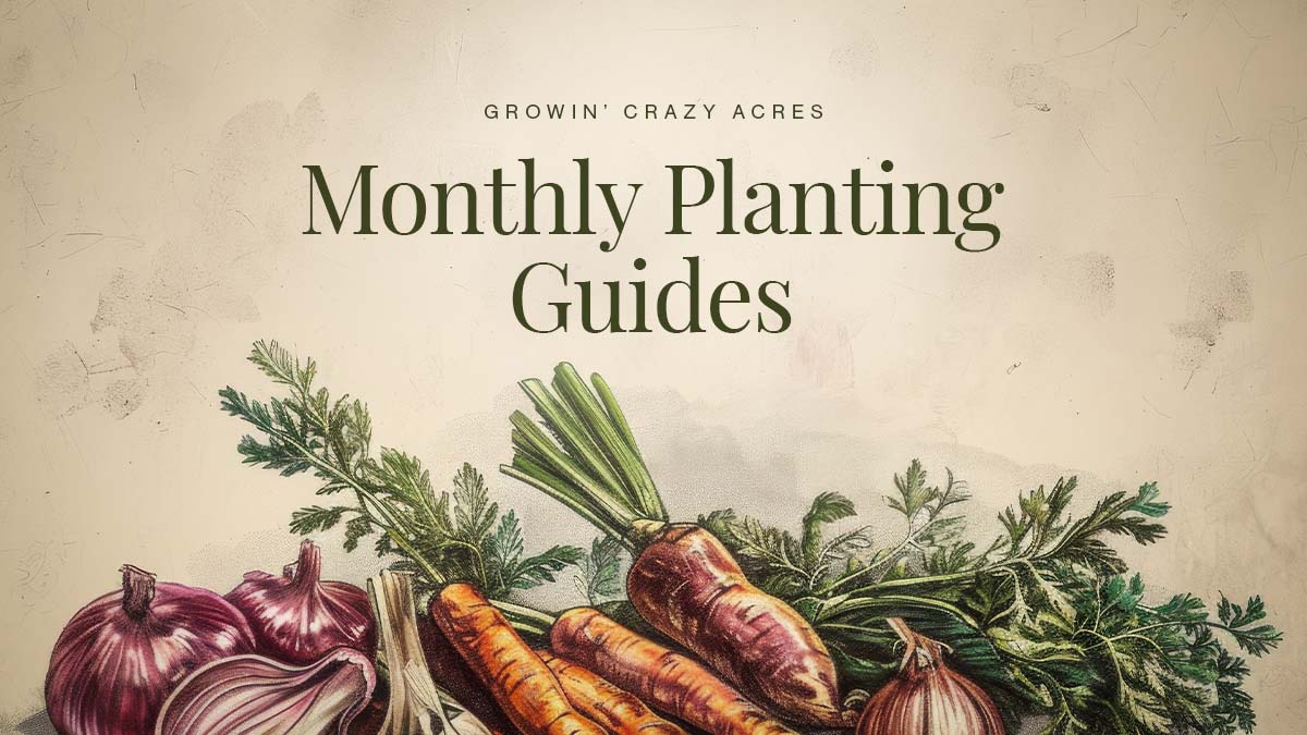 Monthly Planting Guides for Florida Gardens