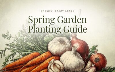 Spring Garden Planting Guide