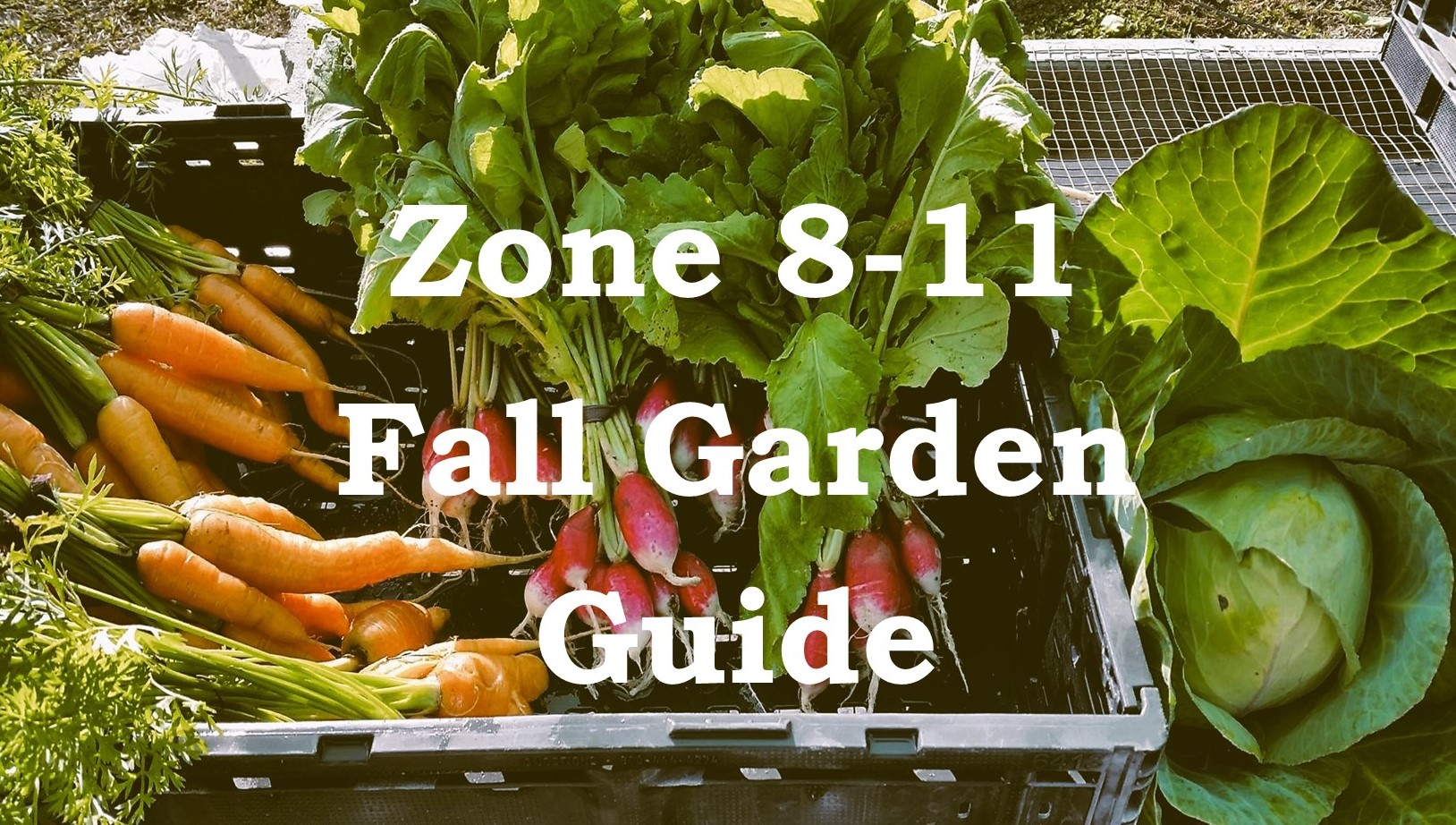 Fall garden guide pic Spring Garden Planting Guide