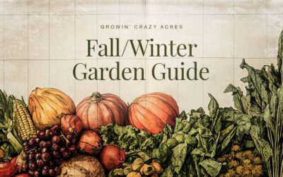 Winter Garden Guide for Southern Gardens