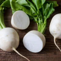 Shogoin Turnip