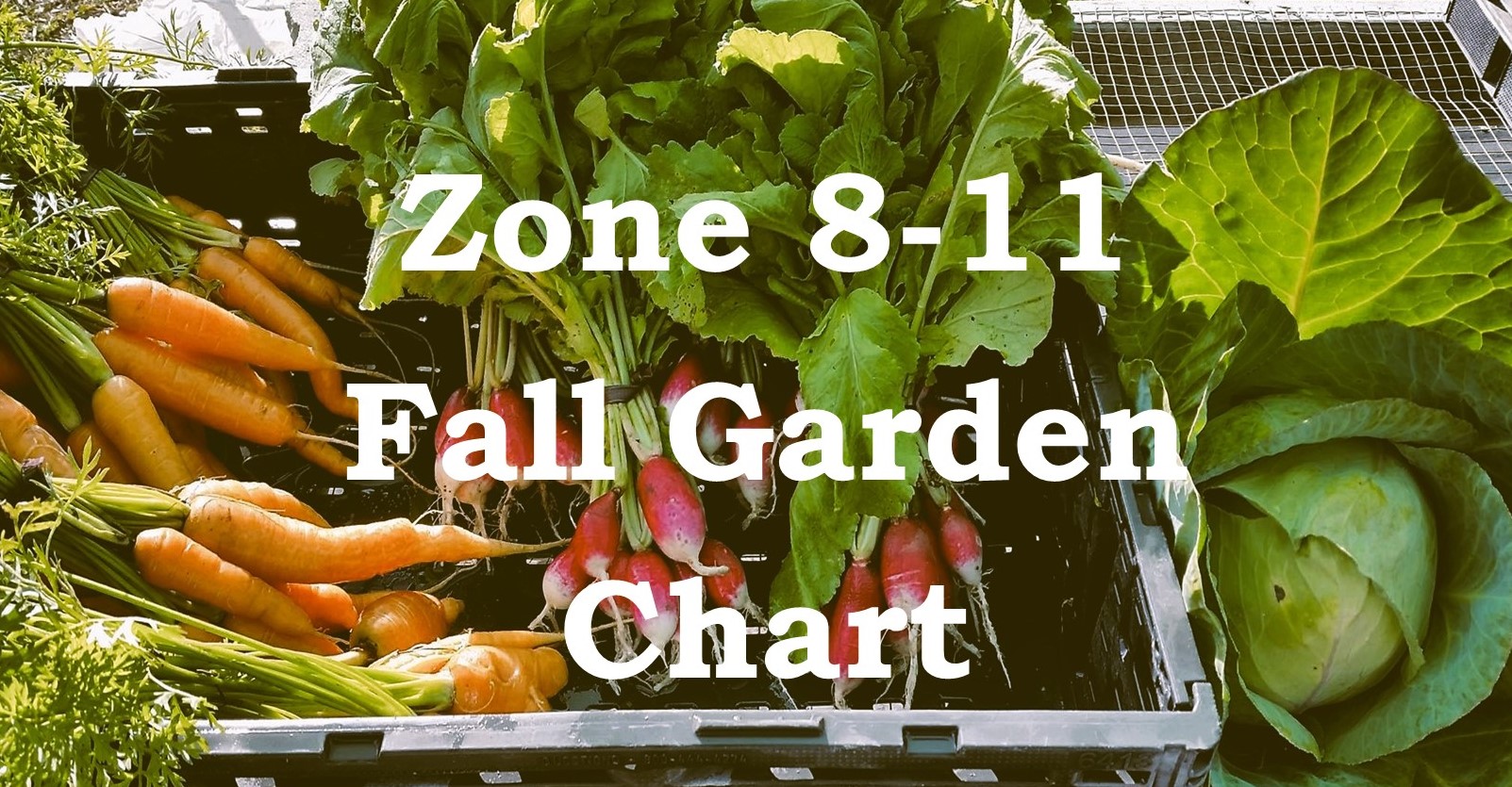 fall garden chart Spring Garden Planting Guide