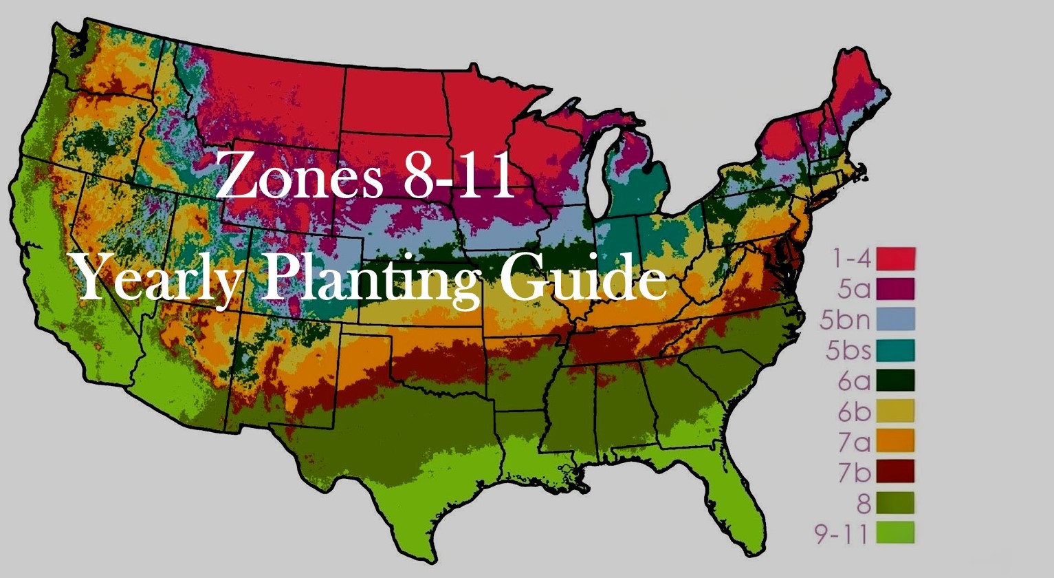 homepage pic Monthly Planting Guides for Florida Gardens