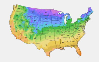 Zones 8-11 Yearly Planting Guide for Southern Gardens